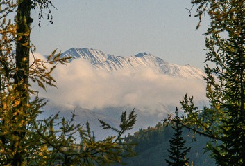 IMG_0015