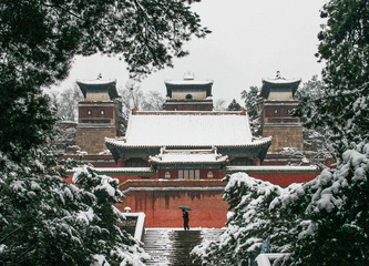 18749