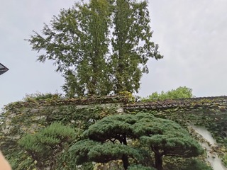1000011269