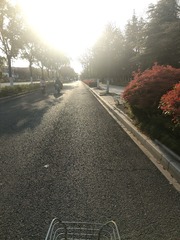 1000016961