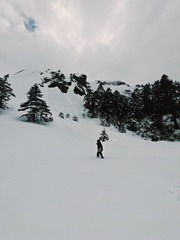 1000012263