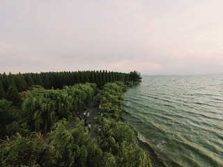 1000011830