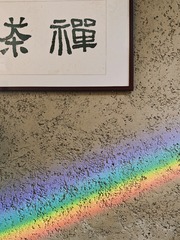 1000011865