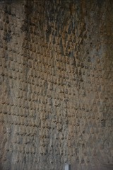 1000015495