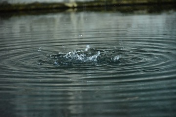 1000015504