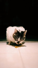 001