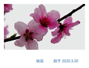 20102