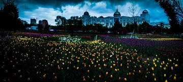 全景图1.jpg