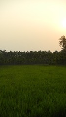 1000034935