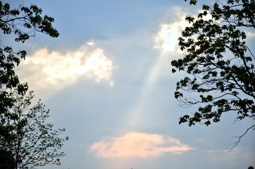 1000025631