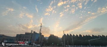 1000051622