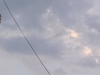 1000016925