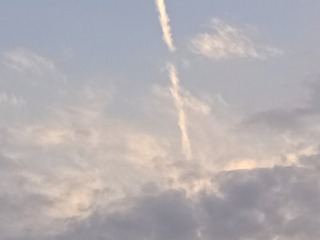 1000016924