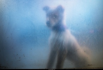 2015-1-30灰灰