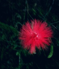 IMG_20250408_211844