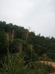 WP_000043.jpg