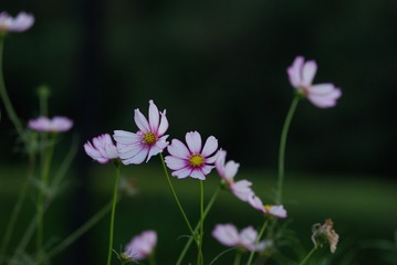 67E44DA7-E951-4E8E-9285-6E29AA9DC34A/L0/001