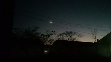 1000029077