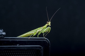 9E567927-B460-4107-914F-4BBC2FE947FA/L0/001