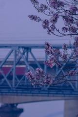 38484