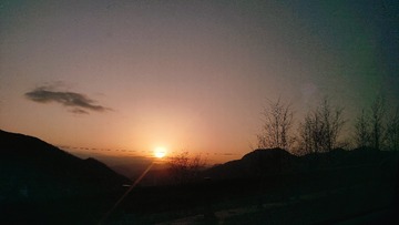 1000046526