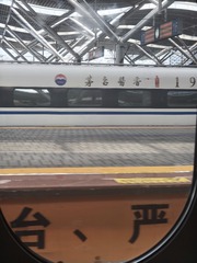 1000024353