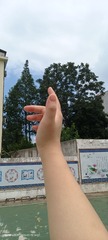 1000027877