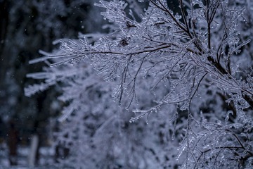 132220