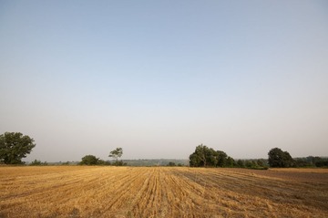 DSC_9615.jpg