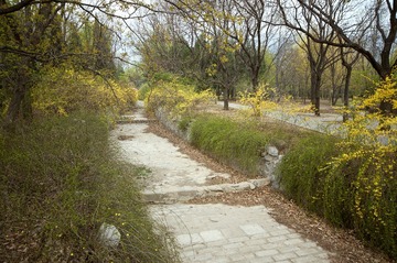 DSC_8379 副本.jpg
