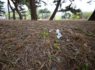 DSC_8436 副本.jpg