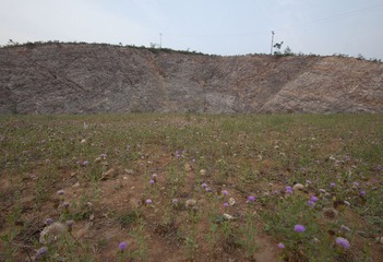 DSC_0095 副本.jpg
