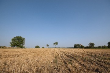 DSC_0980 副本.jpg