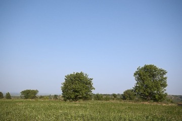 DSC_1006 副本.jpg