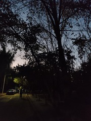 1000184484