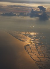 1000077174