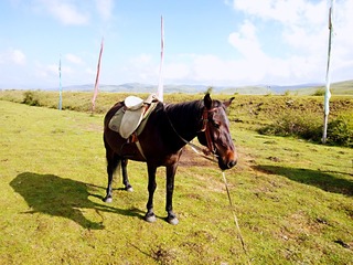 2012530