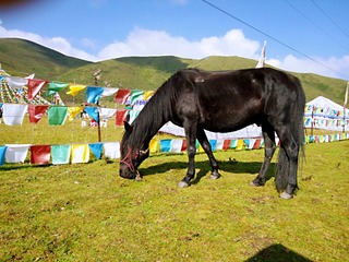 2012532