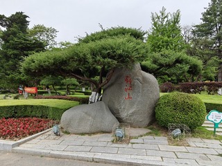 1000013252
