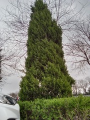6284