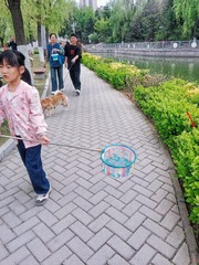 8155