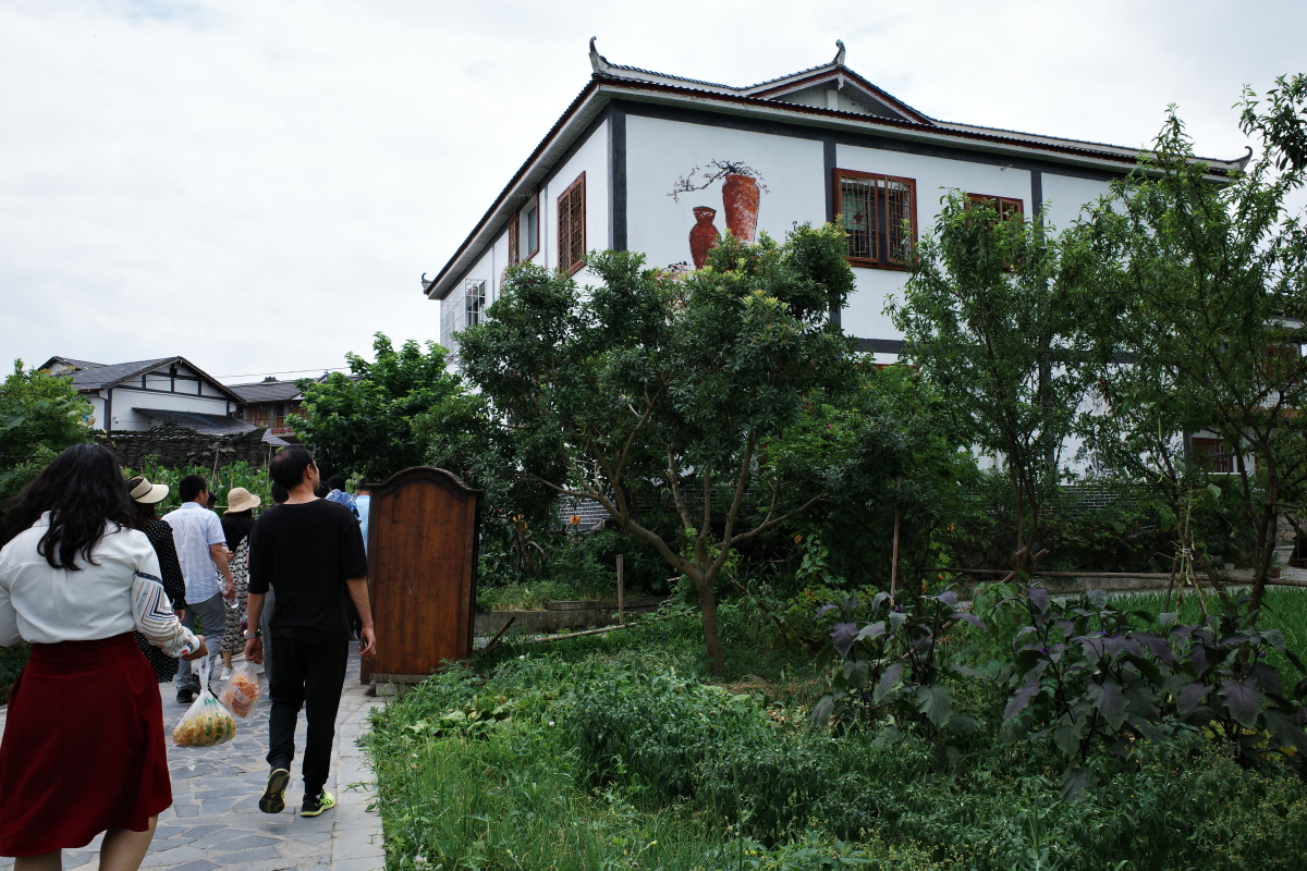 看得见山望得见水遵义苟坝花茂村