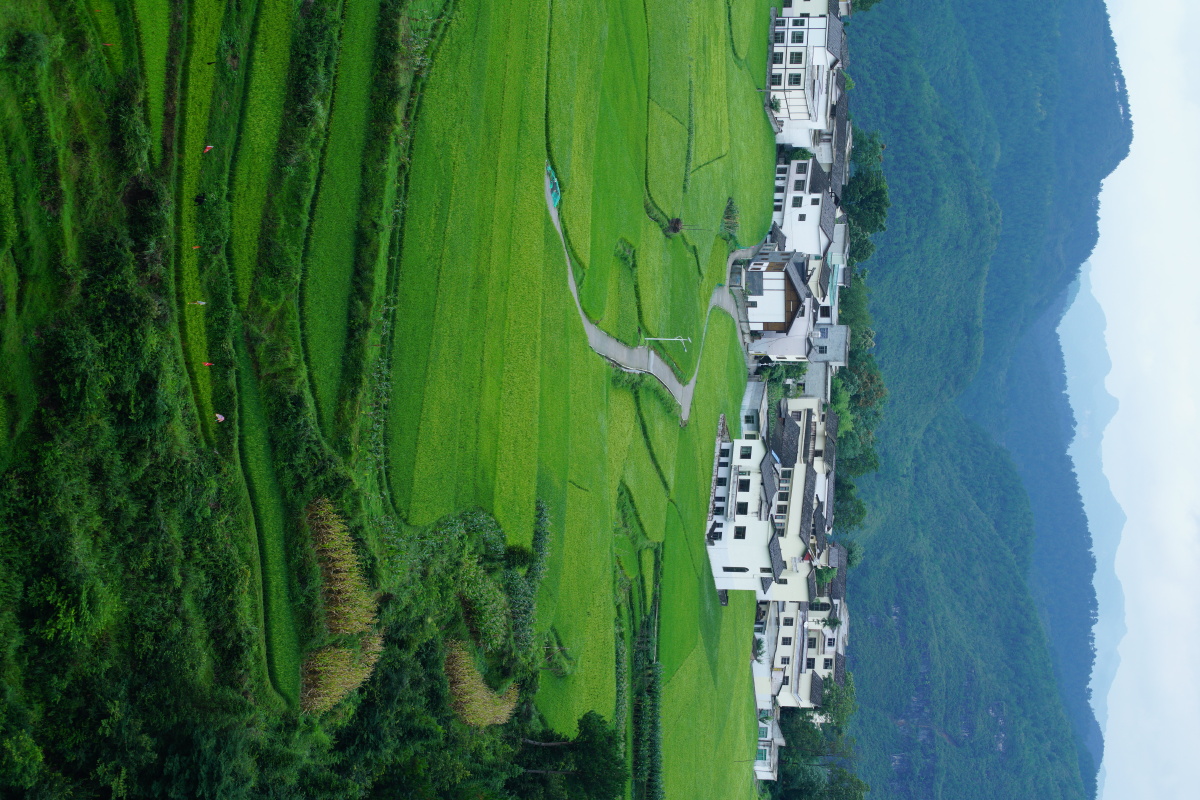 山的村庄(贵阳花溪区高坡乡)