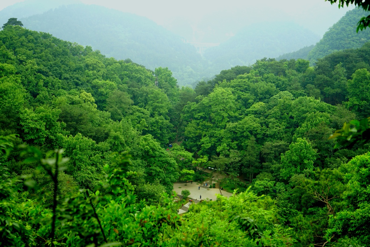 贵阳:黔灵山公园 - 枫林六月