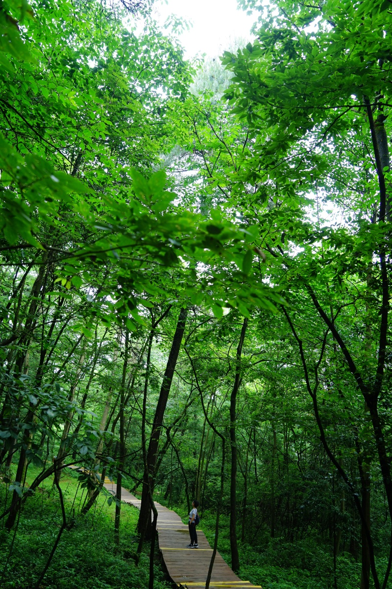 长坡岭森林公园贵阳