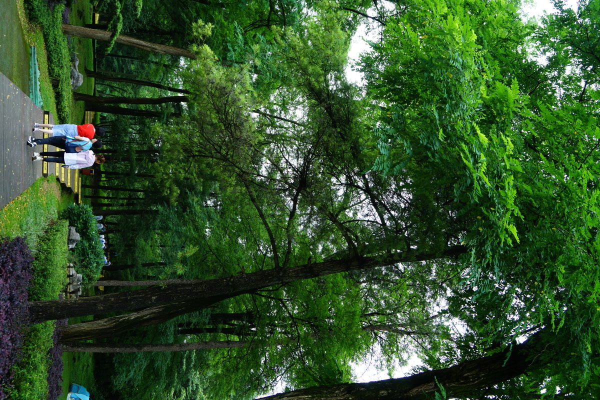 长坡岭森林公园贵阳