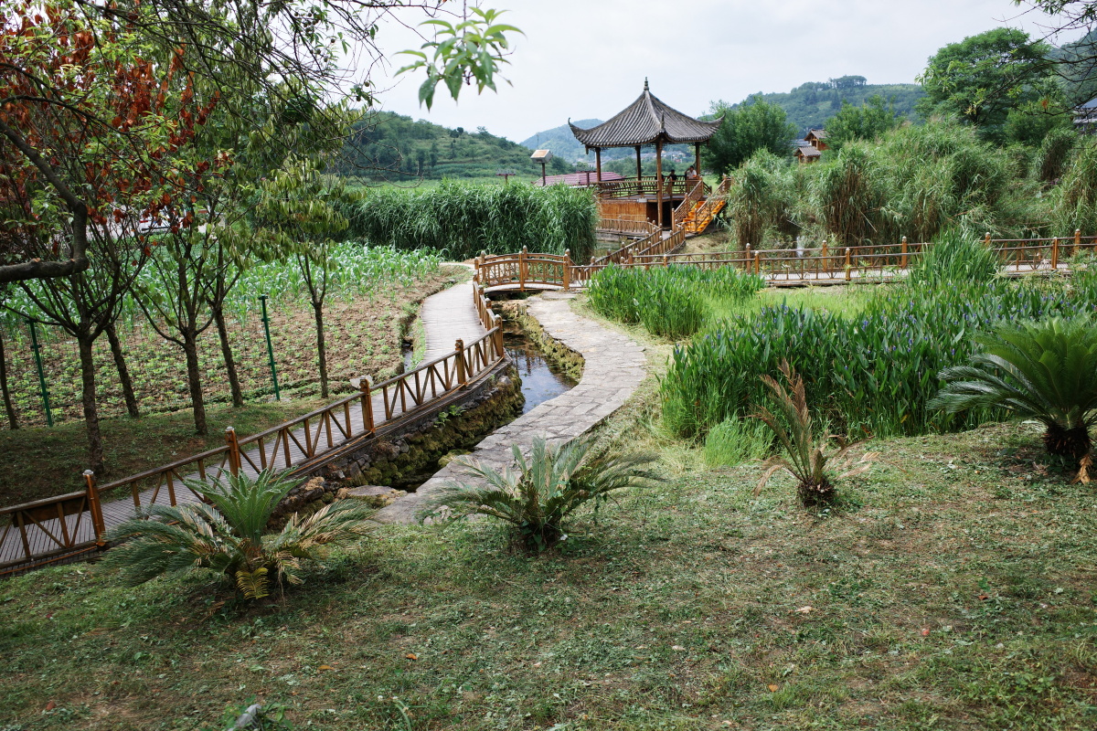 看得见山望得见水遵义苟坝花茂村