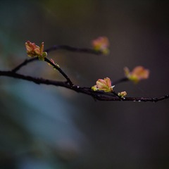 1045498