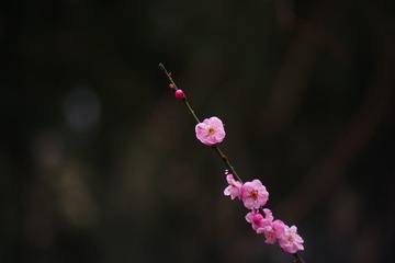 200903