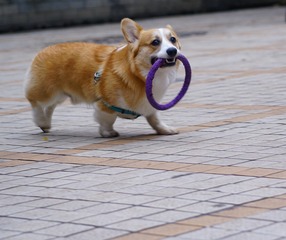 213833
